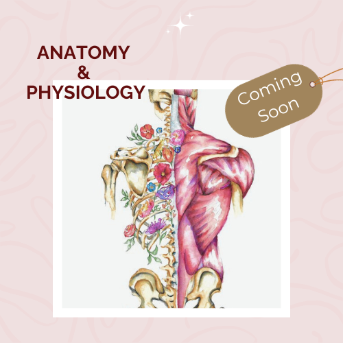 Antomy & Physiology